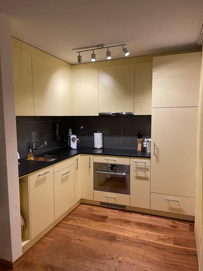 Ferienwohnung Efibach 41 Silenen 外观 照片
